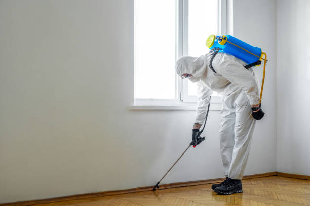 Best Local Pest Control Services  in Bronte, TX