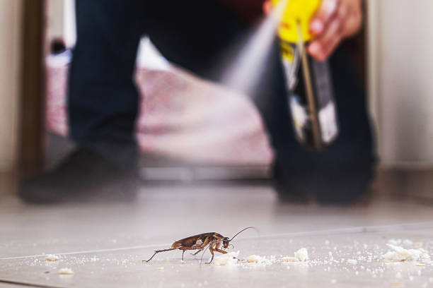 Best Exterminator Services  in Bronte, TX